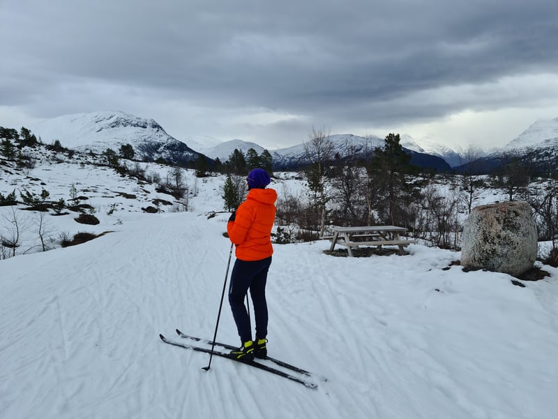 Marianne Remøy_Skiing_HAV design