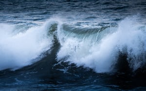 havgroup_wave